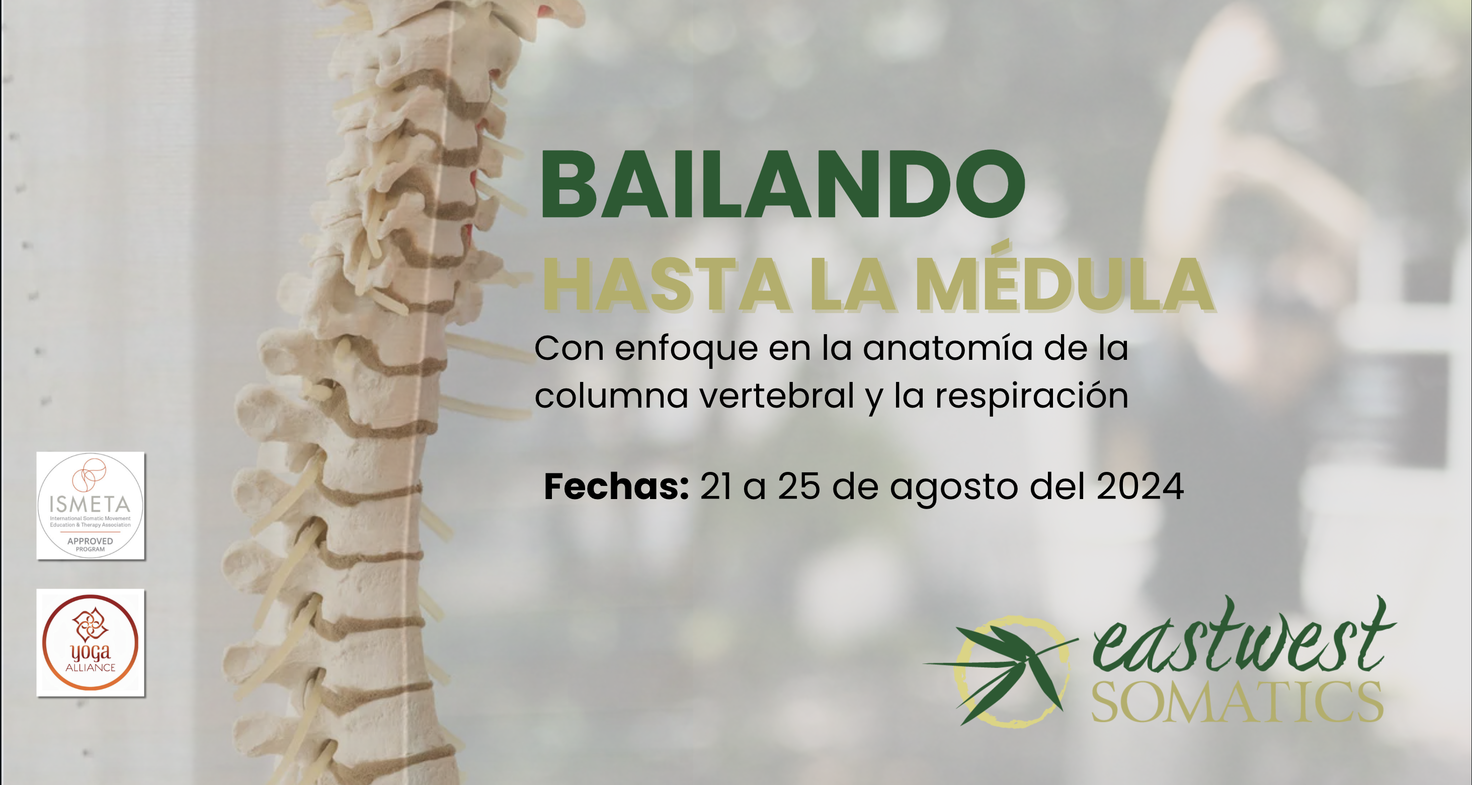 BAILANDO HASTA LA MÉDULA – Con enfoque anatómico en la respiración y sistema óseo