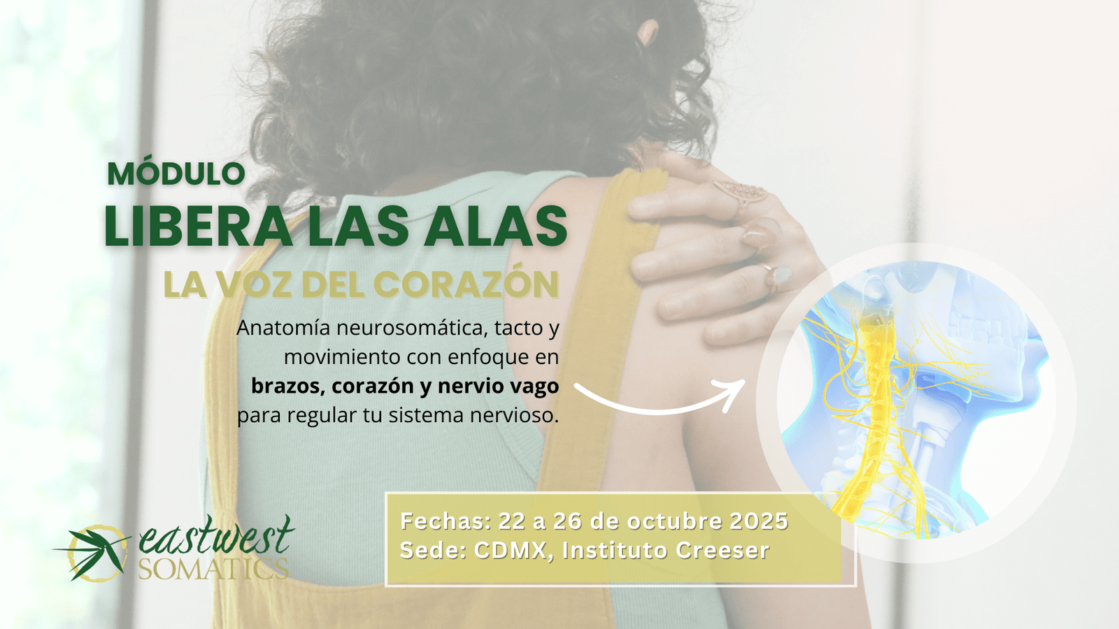 LIBERA LAS ALAS, LA VOZ DEL CORAZÓN – Anatomía neurosomática, tacto y movimiento con enfoque en brazos, corazón y nervio vago para regular tu sistema nervioso