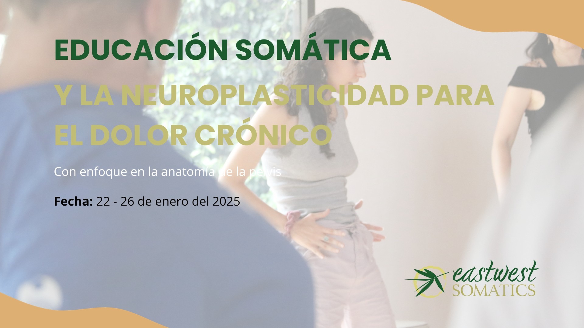 EDUCACIÓN SOMÁTICA Y LA NEUROPLASTICIDAD PARA EL DOLOR CRÓNICO – Con enfoque en la anatomía de la pelvis