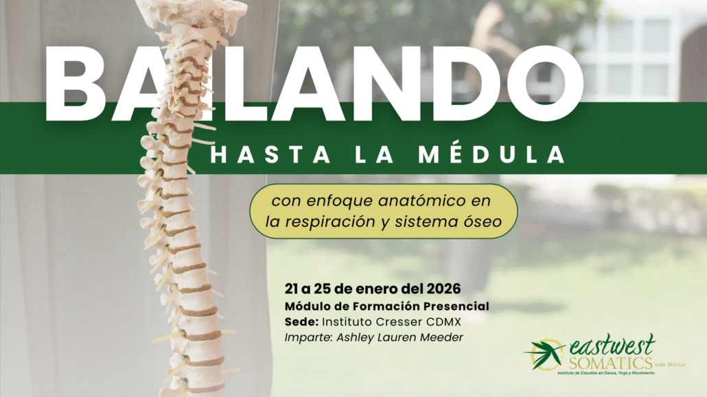 bailando hasta la médula