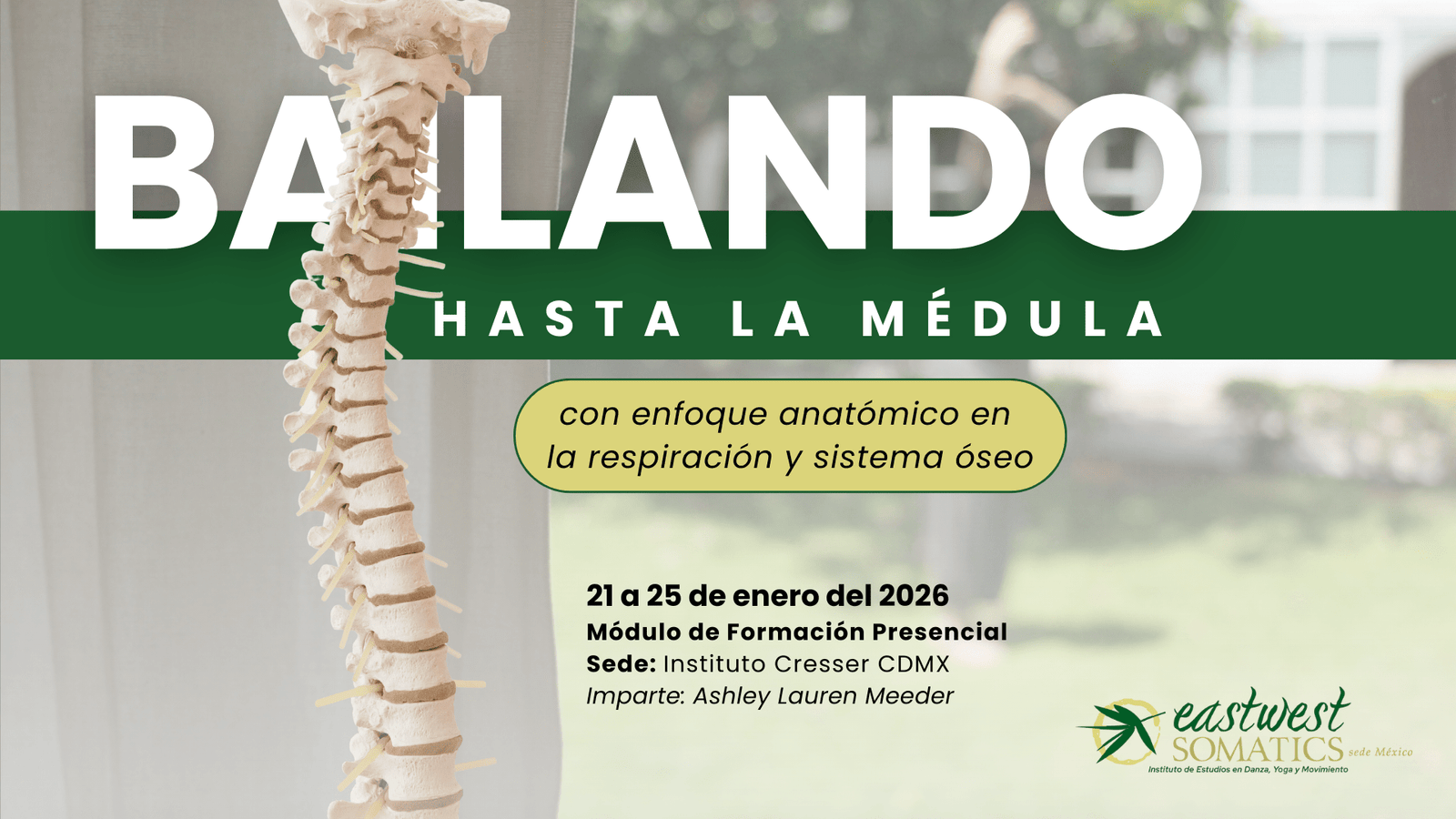 BAILANDO HASTA LA MÉDULA – Con enfoque anatómico en la respiración y sistema óseo